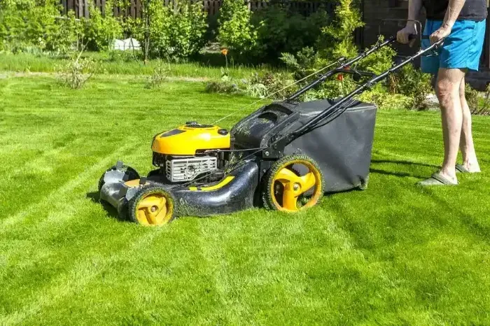 Affordable Lawn Mowing in Allen, TX