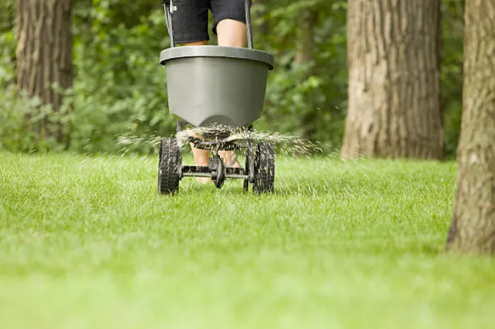 Dependable Lawn Fertilization in Allen, TX