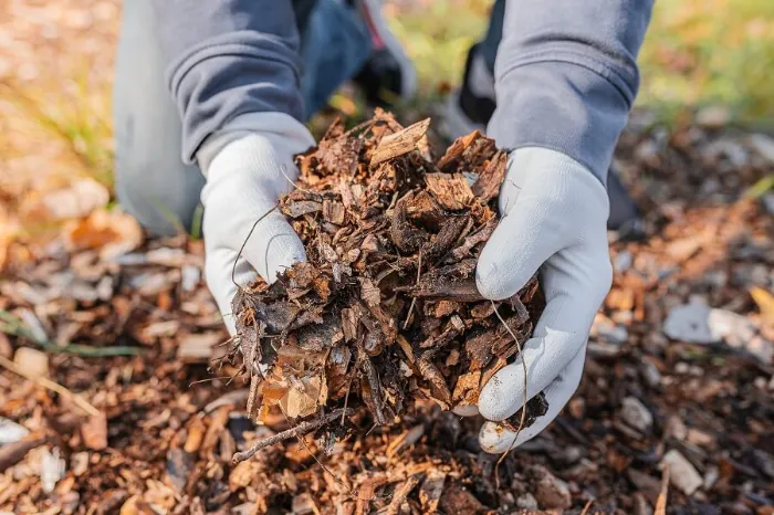 Dependable Mulching in Allen, TX