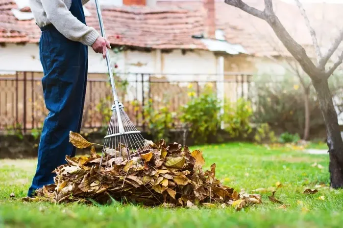 Detailed Yard Cleanup in Allen, TX