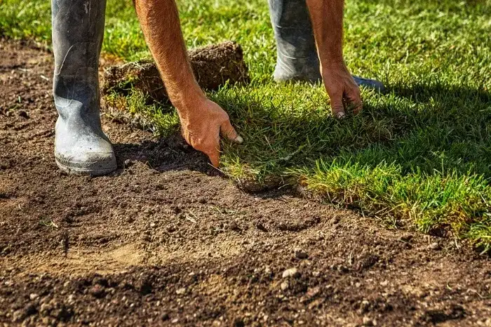 Excellent Sod Installation in Allen, TX