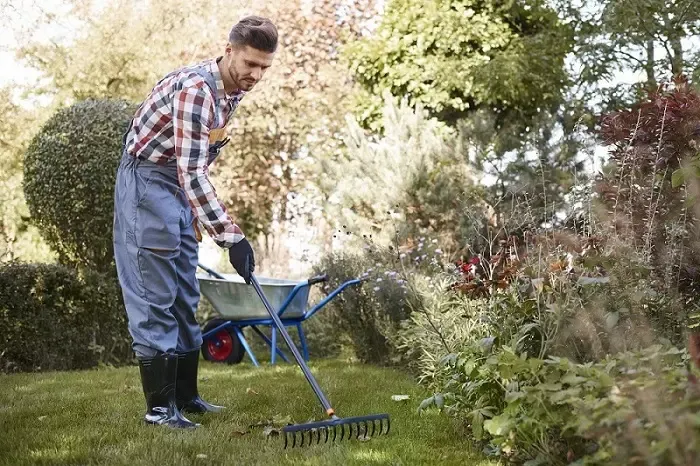 Exceptional Yard Cleanup in Allen, TX