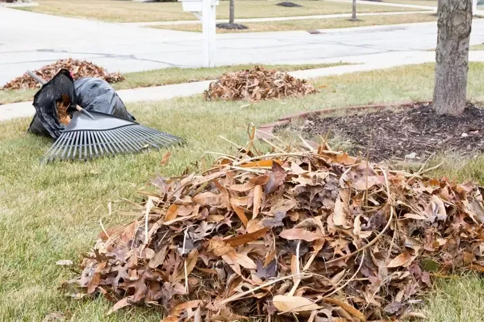 High-quality Yard Cleanup in Allen, TX