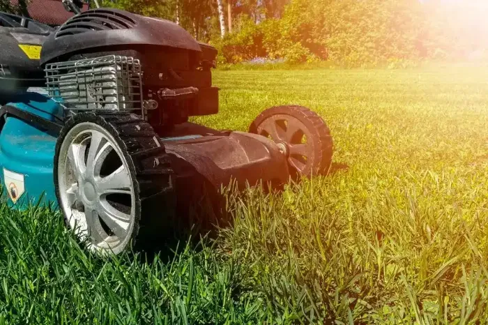 Professional Lawn Mowing in Allen, TX