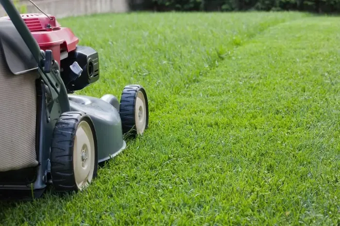 Reliable Lawn Mowing in Allen, TX