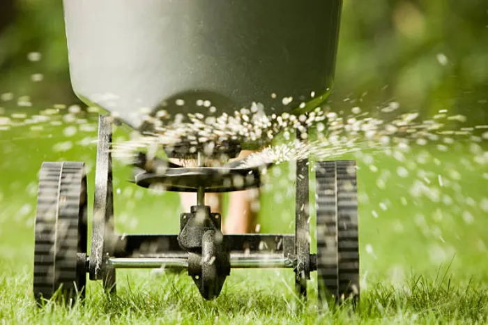 Top-notch Lawn Fertilization in Allen, TX